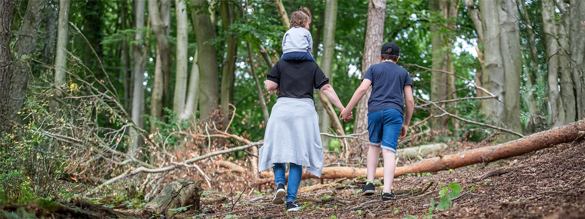 Banner - Familie im Wald