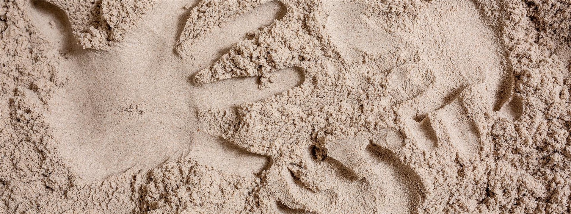 Bannerbild Nachlass oder Zustiftung